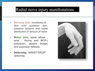 Peripheral nerve injury by dr ashutosh | PPTX