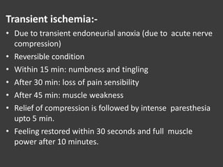 Transient ischemia:-
• Due to transient endoneurial anoxia (due to acute nerve
compression)
• Reversible condition
• Within 15 min: numbness and tingling
• After 30 min: loss of pain sensibility
• After 45 min: muscle weakness
• Relief of compression is followed by intense paresthesia
upto 5 min.
• Feeling restored within 30 seconds and full muscle
power after 10 minutes.
 
