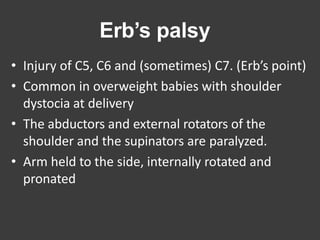 Erb’s palsy
• Injury of C5, C6 and (sometimes) C7. (Erb’s point)
• Common in overweight babies with shoulder
dystocia at delivery
• The abductors and external rotators of the
shoulder and the supinators are paralyzed.
• Arm held to the side, internally rotated and
pronated
 