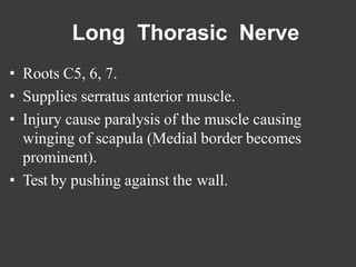 Long Thorasic Nerve
• Roots C5, 6, 7.
• Supplies serratus anterior muscle.
• Injury cause paralysis of the muscle causing
winging of scapula (Medial border becomes
prominent).
• Test by pushing against the wall.
 