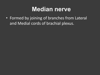 Median nerve
• Formed by joining of branches from Lateral
and Medial cords of brachial plexus.
 