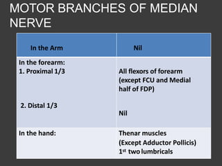 MOTOR BRANCHES OF MEDIAN
NERVE
In the Arm Nil
In the forearm:
1. Proximal 1/3 All flexors of forearm
(except FCU and Medial
half of FDP)
2. Distal 1/3
Nil
In the hand: Thenar muscles
(Except Adductor Pollicis)
1st twolumbricals
 