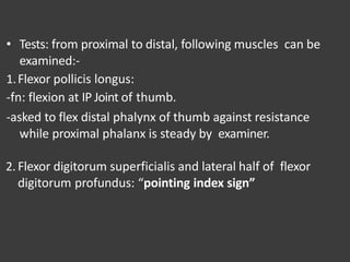 • Tests: from proximal to distal, following muscles can be
examined:-
1.Flexor pollicis longus:
-fn: flexion at IP Joint of thumb.
-asked to flex distal phalynx of thumb against resistance
while proximal phalanx is steady by examiner.
2. Flexor digitorum superficialis and lateral half of flexor
digitorum profundus: “pointing index sign”
 