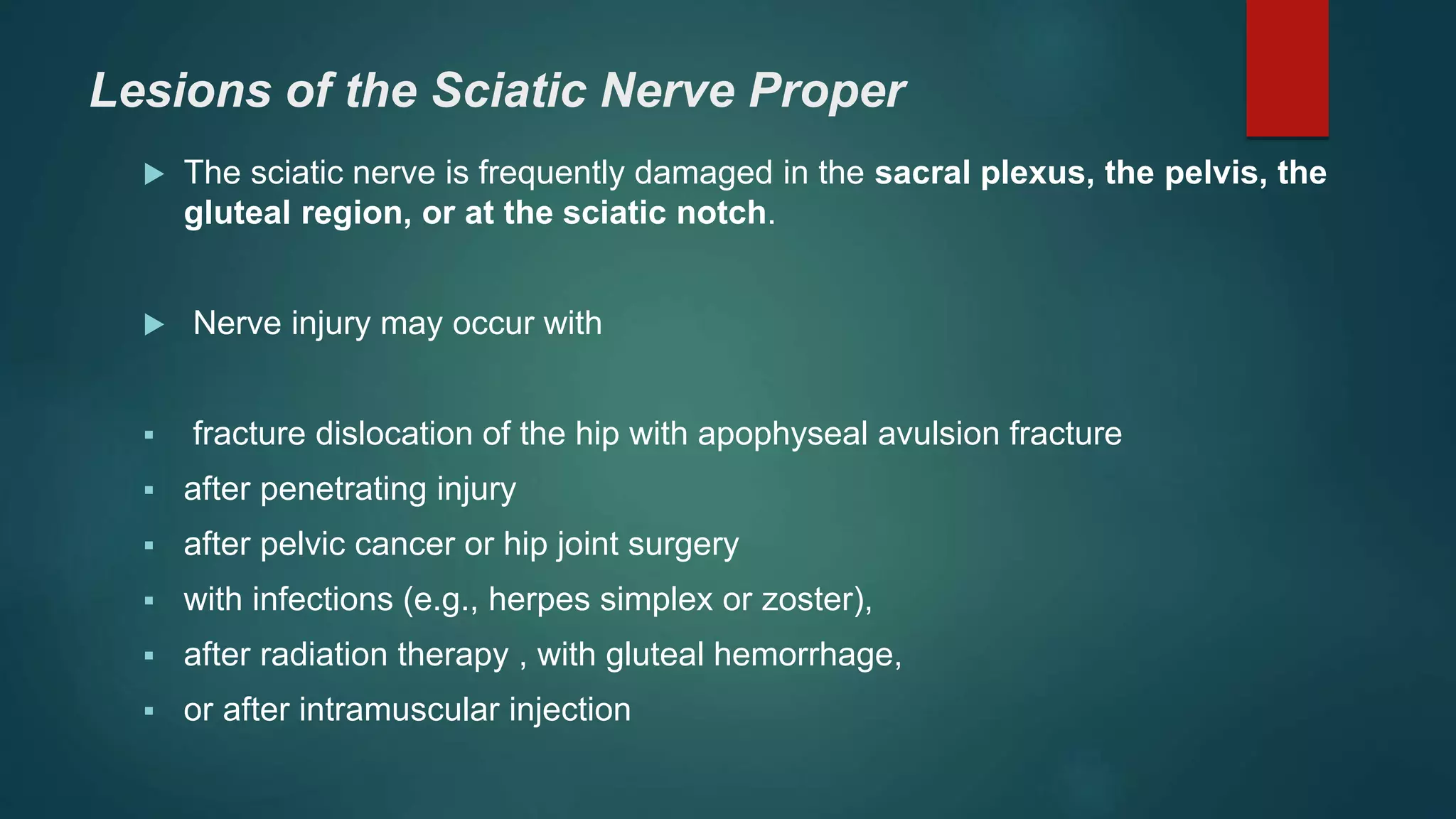 Lesions of the Sciatic Nerve Proper
 The sciatic nerve is frequently damaged in the sacral plexus, the pelvis, the
gluteal region, or at the sciatic notch.
 Nerve injury may occur with
 fracture dislocation of the hip with apophyseal avulsion fracture
 after penetrating injury
 after pelvic cancer or hip joint surgery
 with infections (e.g., herpes simplex or zoster),
 after radiation therapy , with gluteal hemorrhage,
 or after intramuscular injection
 
