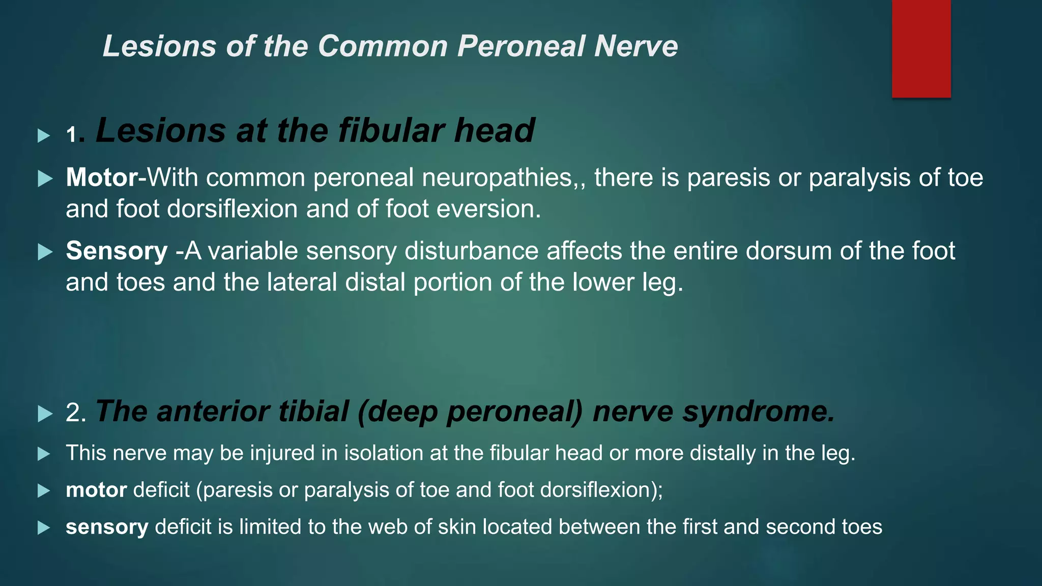 Lesions of the Common Peroneal Nerve
 1. Lesions at the fibular head
 Motor-With common peroneal neuropathies,, there is paresis or paralysis of toe
and foot dorsiflexion and of foot eversion.
 Sensory -A variable sensory disturbance affects the entire dorsum of the foot
and toes and the lateral distal portion of the lower leg.
 2. The anterior tibial (deep peroneal) nerve syndrome.
 This nerve may be injured in isolation at the fibular head or more distally in the leg.
 motor deficit (paresis or paralysis of toe and foot dorsiflexion);
 sensory deficit is limited to the web of skin located between the first and second toes
 