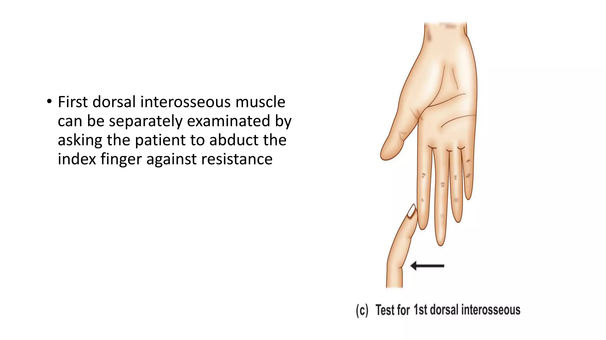 Testing Interossei Strength Peripheral nerve injuries of upper limb | PPTX