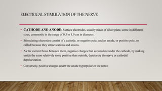 PERIPHERAL NERVES.pptx