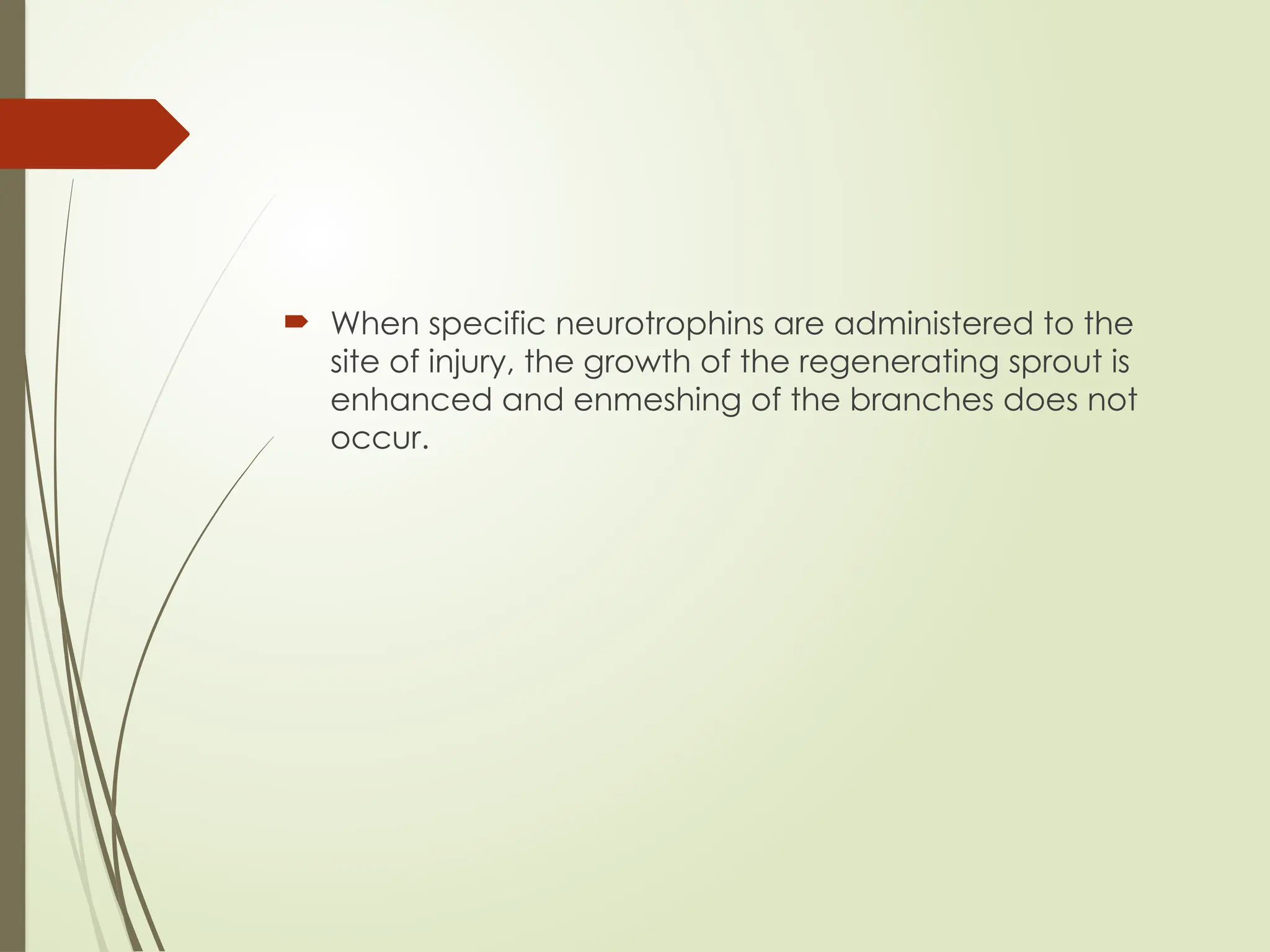Peripheral Nerves 2024 and their adaptions | PPTX