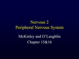 Nervous 2Peripheral Nervous System McKinley and O’Laughlin Chapter 15&16 