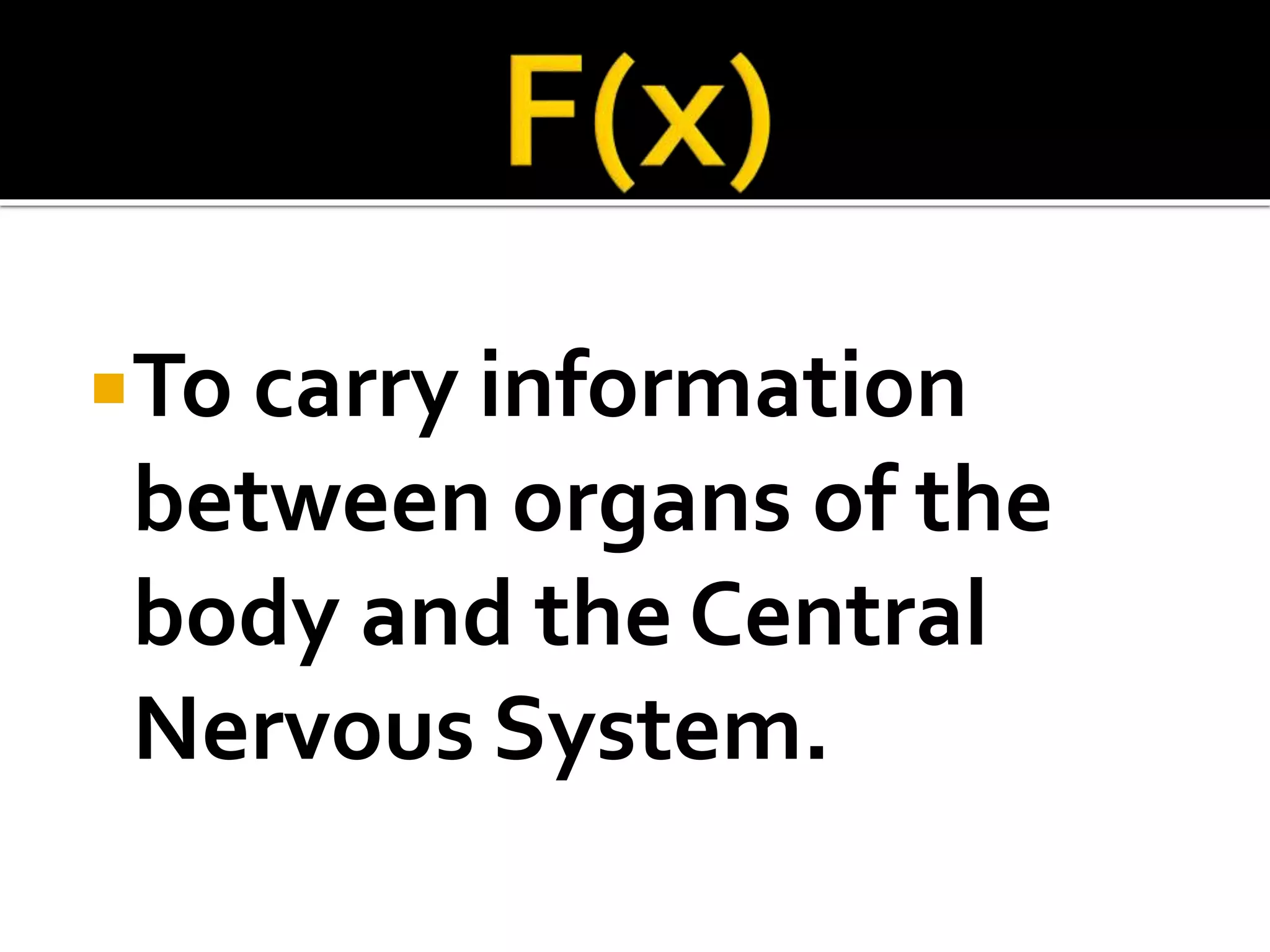 To carry information
between organs of the
body and the Central
Nervous System.