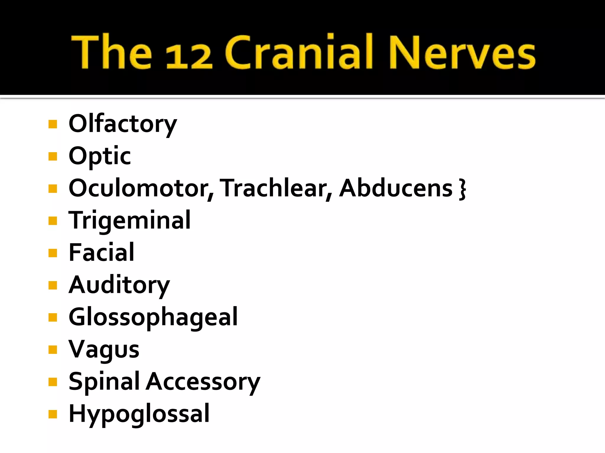  Olfactory
Optic
Oculomotor,Trachlear, Abducens }
Trigeminal
Facial
Auditory
Glossophageal
Vagus
Spinal Accessory
Hypoglossal