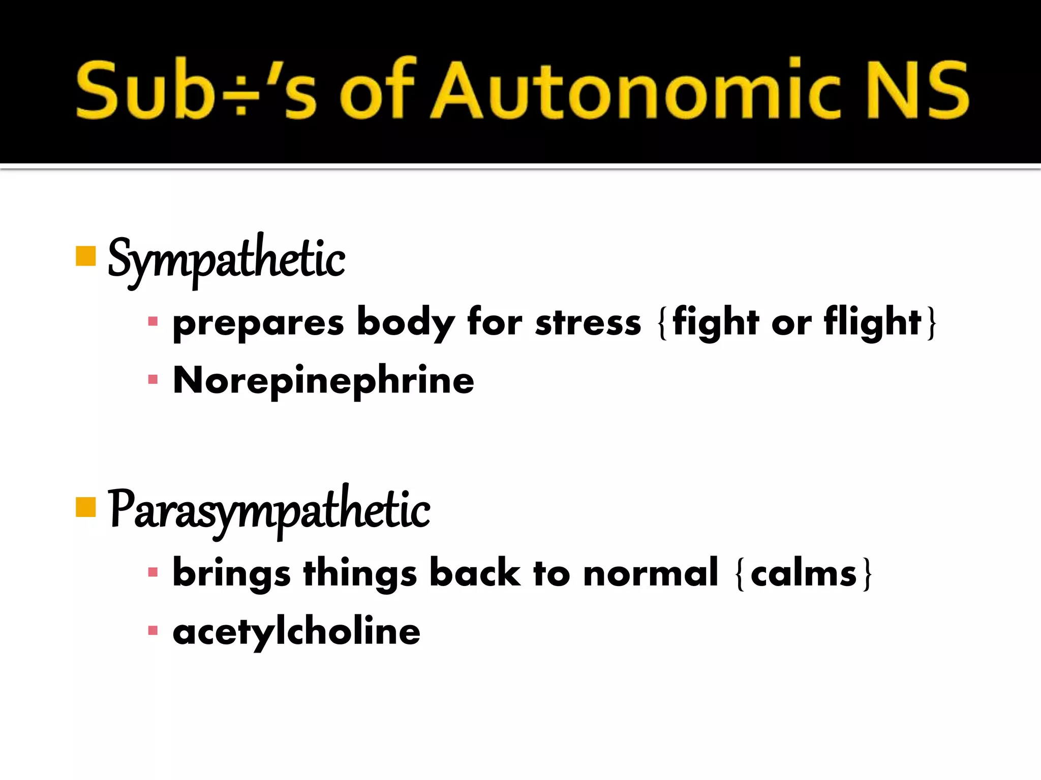  Sympathetic
▪ prepares body for stress {fight or flight}
▪ Norepinephrine
Parasympathetic
▪ brings things back to normal {calms}
▪ acetylcholine