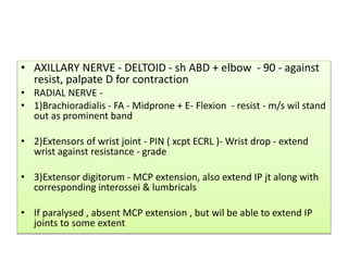 • AXILLARY NERVE - DELTOID - sh ABD + elbow - 90 - against
resist, palpate D for contraction
• RADIAL NERVE -
• 1)Brachioradialis - FA - Midprone + E- Flexion - resist - m/s wil stand
out as prominent band
• 2)Extensors of wrist joint - PIN ( xcpt ECRL )- Wrist drop - extend
wrist against resistance - grade
• 3)Extensor digitorum - MCP extension, also extend IP jt along with
corresponding interossei & lumbricals
• If paralysed , absent MCP extension , but wil be able to extend IP
joints to some extent
 
