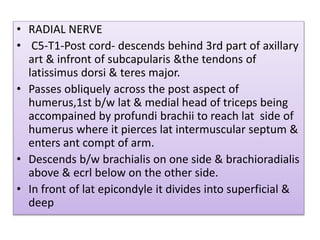 • RADIAL NERVE
• C5-T1-Post cord- descends behind 3rd part of axillary
art & infront of subcapularis &the tendons of
latissimus dorsi & teres major.
• Passes obliquely across the post aspect of
humerus,1st b/w lat & medial head of triceps being
accompained by profundi brachii to reach lat side of
humerus where it pierces lat intermuscular septum &
enters ant compt of arm.
• Descends b/w brachialis on one side & brachioradialis
above & ecrl below on the other side.
• In front of lat epicondyle it divides into superficial &
deep
 