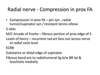 Radial nerve - Compression in prox FA
• Compression in prox FA – pin syn , radial
tunnel/supinator syn / resistant tennis elbow
5 sites
M/C Arcade of froshe – fibrous portion of prox edge of S
Leash of henry – recurrent rad art fans out across nerve
at radial neck level
ECRB
Substance or distal edge of supinator
Fibrous band ant to radiohumeral lig b/w BR lat &
brachialis medially
 