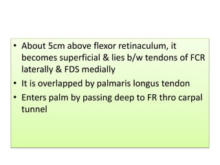 • About 5cm above flexor retinaculum, it
becomes superficial & lies b/w tendons of FCR
laterally & FDS medially
• It is overlapped by palmaris longus tendon
• Enters palm by passing deep to FR thro carpal
tunnel
 