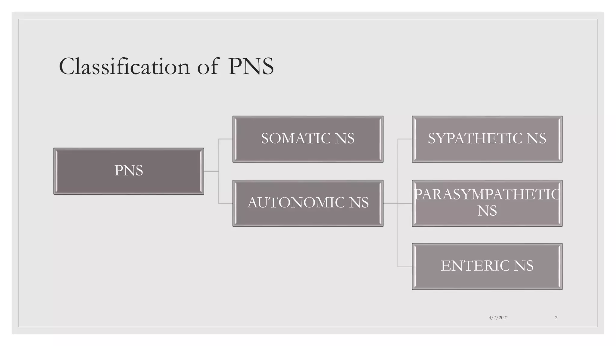 Pns Classification Peripheral nervous system | PPTX
