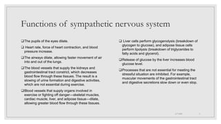 Functions of sympathetic nervous system
The pupils of the eyes dilate.
 Heart rate, force of heart contraction, and blood
pressure increase.
The airways dilate, allowing faster movement of air
into and out of the lungs.
The blood vessels that supply the kidneys and
gastrointestinal tract constrict, which decreases
blood flow through these tissues. The result is a
slowing of urine formation and digestive activities,
which are not essential during exercise.
Blood vessels that supply organs involved in
exercise or fighting off danger—skeletal muscles,
cardiac muscle, liver, and adipose tissue—dilate,
allowing greater blood flow through these tissues.
 Liver cells perform glycogenolysis (breakdown of
glycogen to glucose), and adipose tissue cells
perform lipolysis (breakdown of triglycerides to
fatty acids and glycerol).
Release of glucose by the liver increases blood
glucose level.
Processes that are not essential for meeting the
stressful situation are inhibited. For example,
muscular movements of the gastrointestinal tract
and digestive secretions slow down or even stop.
4/7/2021 5
 