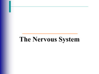 The Nervous System
 