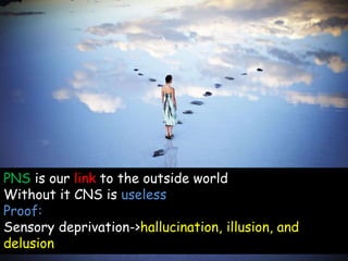 PNS is our link to the outside world
Without it CNS is useless
Proof:
Sensory deprivation->hallucination, illusion, and
delusion
 