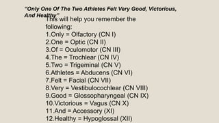 This will help you remember the
following:
1.Only = Olfactory (CN I)
2.One = Optic (CN II)
3.Of = Oculomotor (CN III)
4.The = Trochlear (CN IV)
5.Two = Trigeminal (CN V)
6.Athletes = Abducens (CN VI)
7.Felt = Facial (CN VII)
8.Very = Vestibulocochlear (CN VIII)
9.Good = Glossopharyngeal (CN IX)
10.Victorious = Vagus (CN X)
11.And = Accessory (XI)
12.Healthy = Hypoglossal (XII)
“Only One Of The Two Athletes Felt Very Good, Victorious,
And Healthy”
 