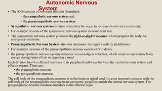 Autonomic Nervous
System
• The ANS consists of two main division (branches):
- the sympathetic nervous system and
- the parasympathetic nervous system.
• Sympathetic nervous system- division stimulates the organ to increase its activity (excitation),
• For example neurons of the sympathetic nervous system increase heart rate.
• The sympathetic nervous system promotes the fight-or-flight response, which prepares the body for
emergency situations.
• Parasympathetic Nervous System- division decreases the organ’s activity (inhibition).
• For example neurons of the parasympathetic nervous system slow it down.
• the parasympathetic nervous system enhances rest-and-digest activities, which conserve and restore body
energy during times of rest or digesting a meal
Each division has two efferent neurones in its peripheral pathways between the central nervous system and
effector organs. These are:
• the preganglionic neurone
• the postganglionic neurone.
The cell body of the preganglionic neurone is in the brain or spinal cord. Its axon terminals synapse with the
cell body of the postganglionic neurone in an autonomic ganglion outside the central nervous system. The
postganglionic neurone conducts impulses to the effector organ
 