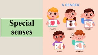 Special
senses
 