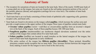 Anatomy of Taste
• The receptors for sensations of taste are located in the taste buds. Most of the nearly 10,000 taste buds of
a young adult are on the tongue, but some are found on the soft palate (posterior portion of the roof of
the mouth), pharynx (throat), and epiglottis (cartilage lid over voice box). The number of taste buds
declines with age.
• Each taste bud is an oval body consisting of three kinds of epithelial cells: supporting cells, gustatory
receptor cells, and basal cells.
• Taste buds are found in elevations on the tongue called papillae, which increase the surface area and
provide a rough texture to the upper surface of the tongue.Three types of papillae contain taste buds:
Circular vallate papillae (val-āt = wall-like) or circumvallate papillae form an inverted v-shaped
row at the back of the tongue. Each of these papillae houses 100–300 taste buds.
Fungiform papillae (mushroomlike) are mushroom shaped elevations scattered over the entire
surface of the tongue that contain about five taste buds each.
Foliate papillae (leaflike) are located in small trenches on the lateral margins of the tongue, but
most of their taste buds degenerate in early childhood.
The entire surface of the tongue has filiform papillae (threadlike). These pointed, threadlike
structures contain tactile receptors but no taste buds. They increase friction between the tongue and
food, making it easier for the tongue to move food in the oral cavity.
 