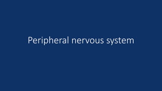 Peripheral nervous system
 