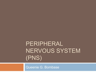 PERIPHERAL
NERVOUS SYSTEM
(PNS)
Queenie G. Bombase
 