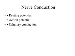 Comprehensive Overview of the Peripheral Nervous System in Anesthesia ...