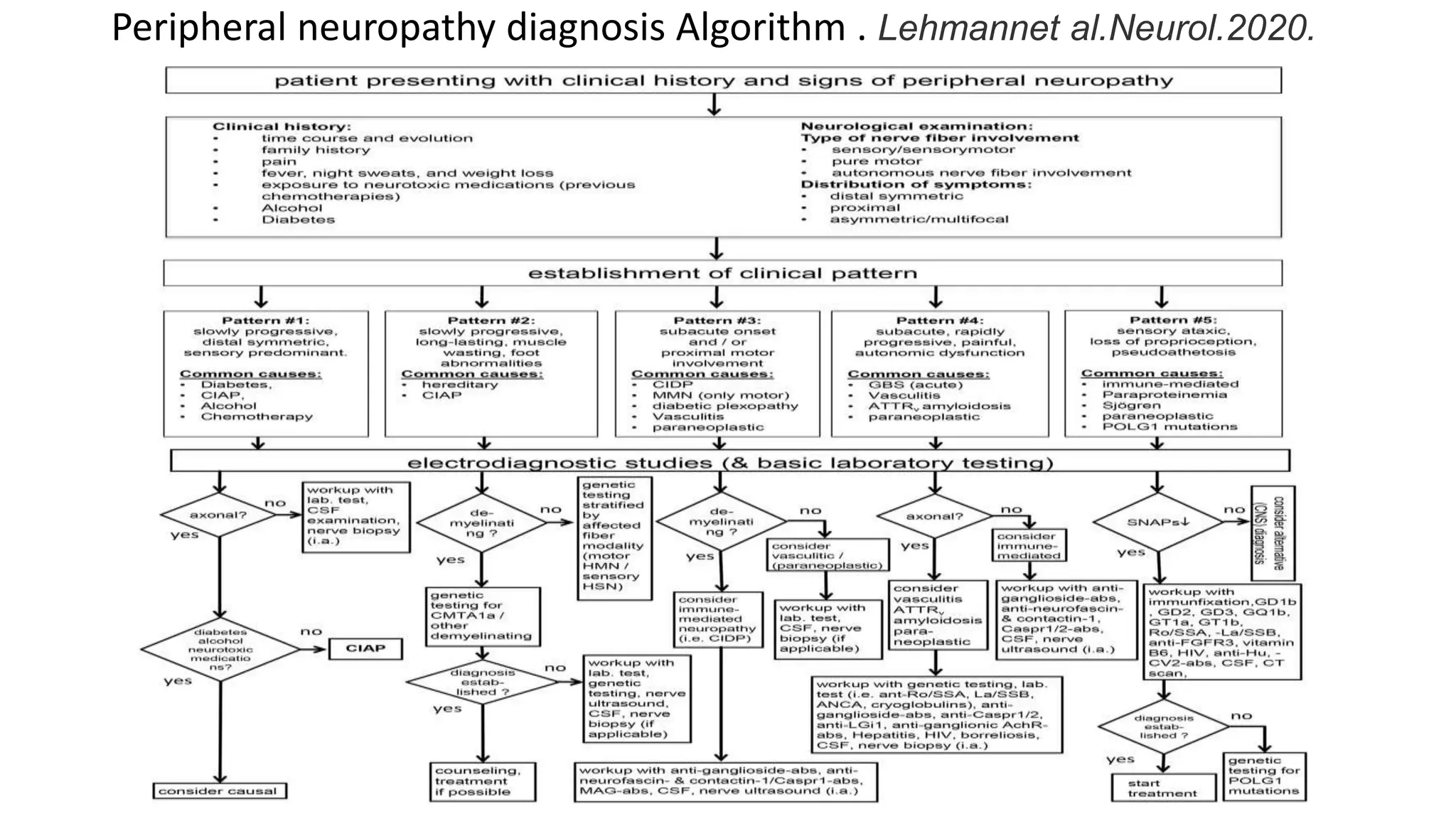 Peripheral neuropathy diagnosis Algorithm . Lehmannet al.Neurol.2020.
 