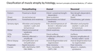 Peripheral Neuropathies.pptx