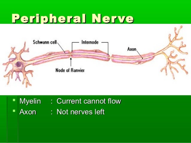 Peripheral neuropathy