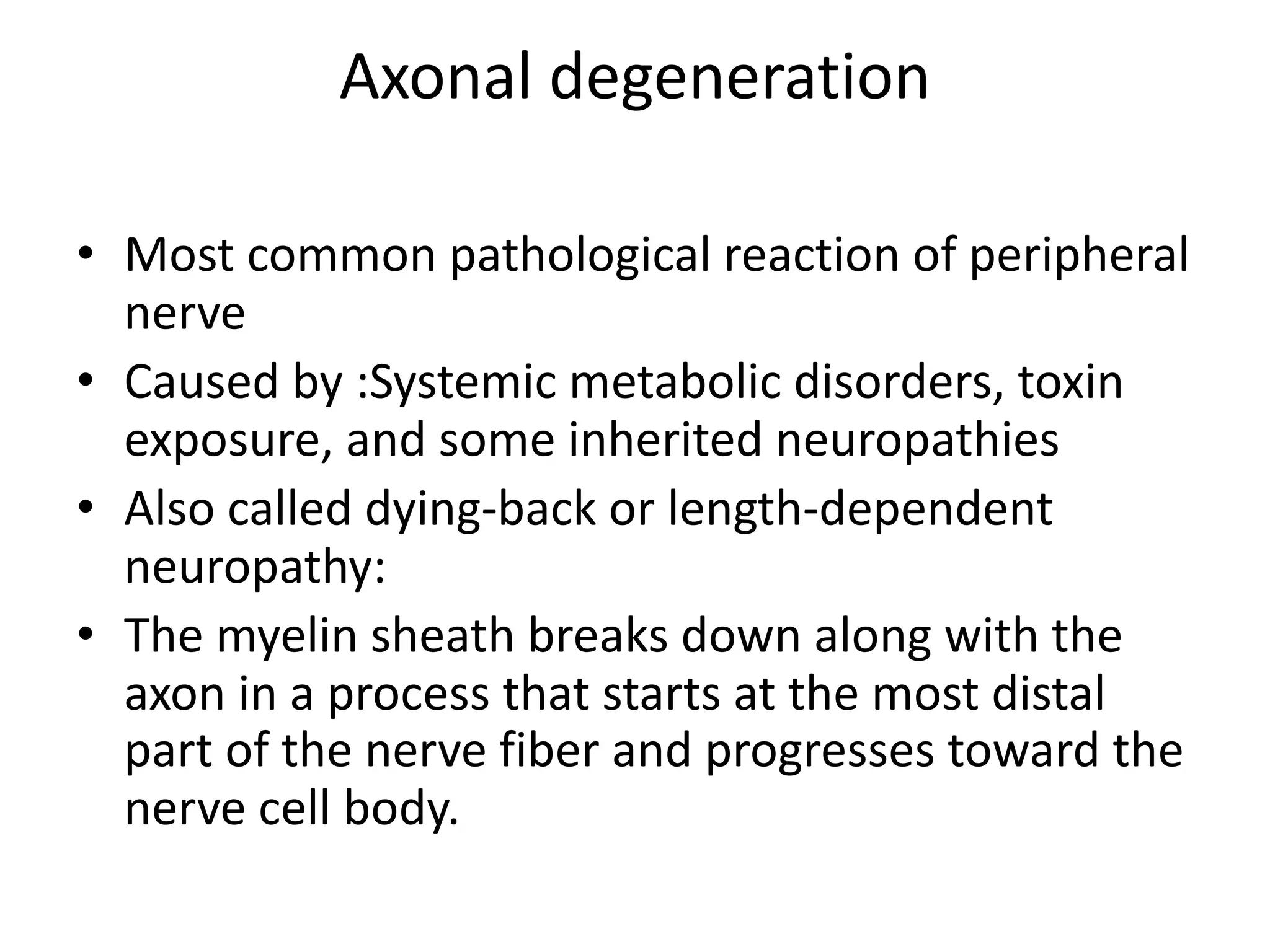 Axonal degeneration
• Most common pathological reaction of peripheral
nerve
• Caused by :Systemic metabolic disorders, toxin
exposure, and some inherited neuropathies
• Also called dying-back or length-dependent
neuropathy:
• The myelin sheath breaks down along with the
axon in a process that starts at the most distal
part of the nerve fiber and progresses toward the
nerve cell body.
 