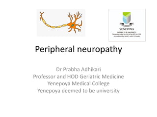 Peripheral neuropathy
Dr Prabha Adhikari
Professor and HOD Geriatric Medicine
Yenepoya Medical College
Yenepoya deemed to be university
 
