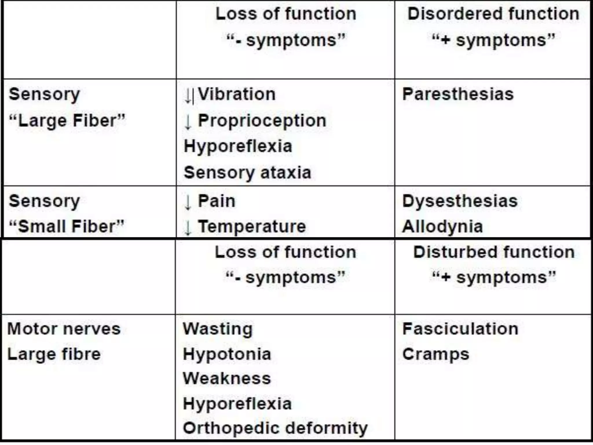 Peripheral neuropathy Anatomy, Physiology and Diseases