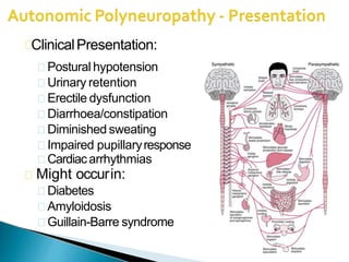 ClinicalPresentation:
Postural hypotension
Urinary retention
Erectile dysfunction
Diarrhoea/constipation
Diminished sweating
Impaired pupillaryresponse
Cardiacarrhythmias
Might occurin:
Diabetes
Amyloidosis
Guillain-Barre syndrome
 