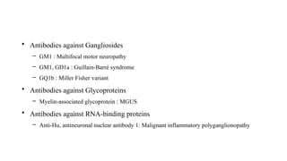Neuropathies + Serum Autoantibodies
• Antibodies against Gangliosides
– GM1 : Multifocal motor neuropathy
– GM1, GD1a : Guillain-Barré syndrome
– GQ1b : Miller Fisher variant
• Antibodies against Glycoproteins
– Myelin-associated glycoprotein : MGUS
• Antibodies against RNA-binding proteins
– Anti-Hu, antineuronal nuclear antibody 1: Malignant inflammatory polyganglionopathy
 