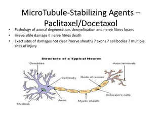 MicroTubule-Stabilizing Agents –
Paclitaxel/Docetaxol
• Pathology of axonal degeneration, demyelination and nerve fibres losses
• Irreversible damage if nerve fibres death
• Exact sites of damages not clear ?nerve sheaths ? axons ? cell bodies ? multiple
sites of injury
 