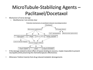 MicroTubule-Stabilizing Agents –
Paclitaxel/Docetaxol
• Mechanism of nerve damage
– Multifactorial / not entirely clear
• If the damage related to direct effect of taxane binding to neurons, maybe impossible to prevent
neuropathy while preserving the chemotherapeutic effectiveness
• Otherwise ?indirect toxicity from drug-induced metabolic derangements
 