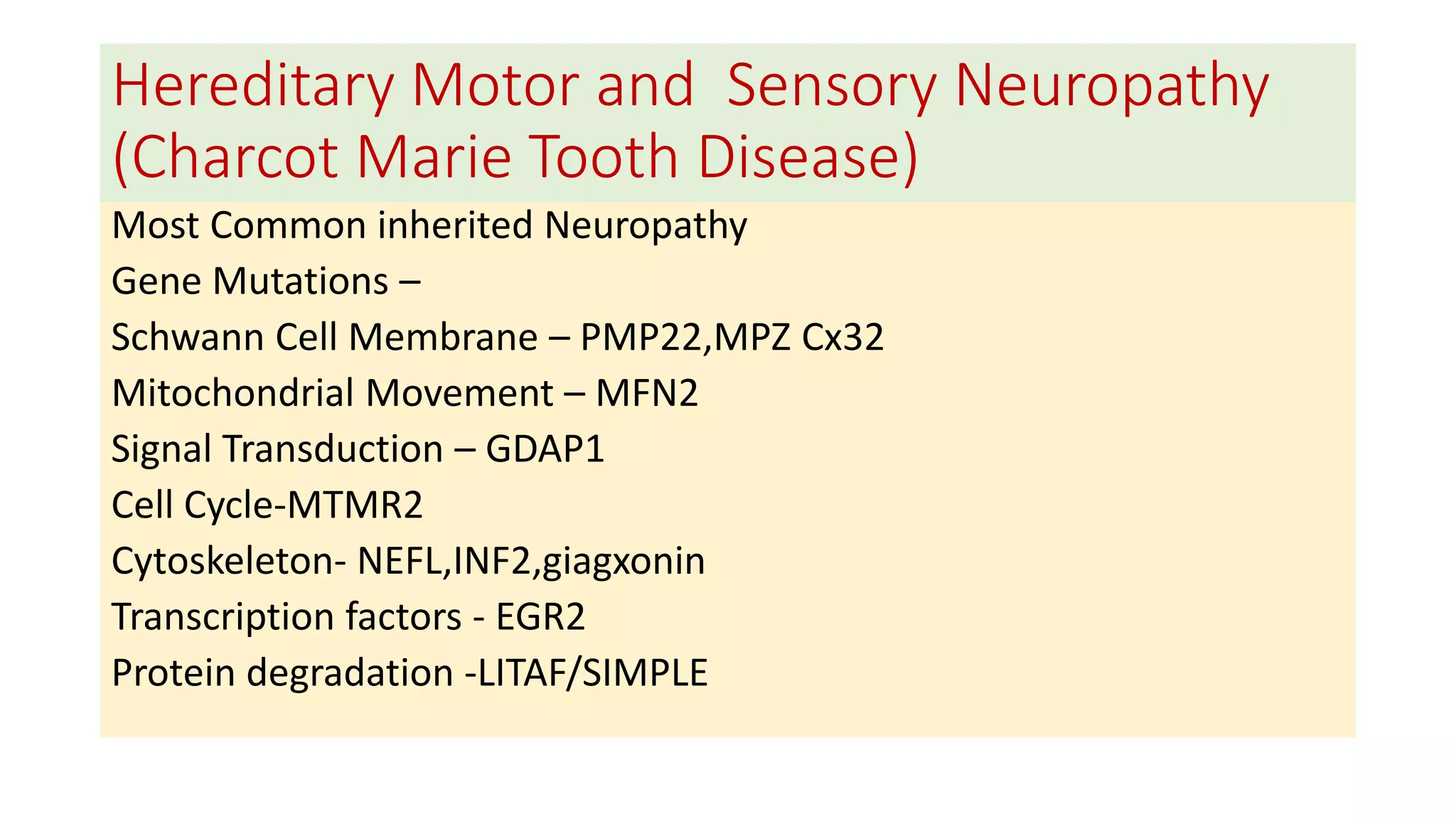Hereditary Motor and Sensory Neuropathy
(Charcot Marie Tooth Disease)
Most Common inherited Neuropathy
Gene Mutations –
Schwann Cell Membrane – PMP22,MPZ Cx32
Mitochondrial Movement – MFN2
Signal Transduction – GDAP1
Cell Cycle-MTMR2
Cytoskeleton- NEFL,INF2,giagxonin
Transcription factors - EGR2
Protein degradation -LITAF/SIMPLE
 