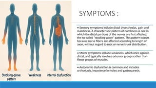 Comprehensive Overview of Peripheral Neuropathy and Charcot Foot ...