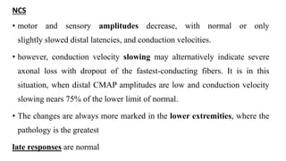 NCS
• motor and sensory amplitudes decrease, with normal or only
slightly slowed distal latencies, and conduction velocities.
• however, conduction velocity slowing may alternatively indicate severe
axonal loss with dropout of the fastest-conducting fibers. It is in this
situation, when distal CMAP amplitudes are low and conduction velocity
slowing nears 75% of the lower limit of normal.
• The changes are always more marked in the lower extremities, where the
pathology is the greatest
late responses are normal
 