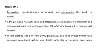 Needle EM G
• Denervation typically develops within weeks and reinnervation after weeks to
months.
• If the process is relatively active and progressive, a combination of denervation and
reinnervated motor unit action potentials (MUAPs) with decreased recruitment will
be seen.
• In long-standing and only very slowly progressive, only reinnervated MUAPs with
decreased recruitment will be seen distally, with little or no active denervation
 