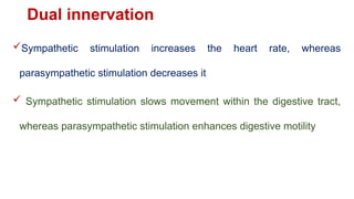 Peripheral NS including Autonomic Nervous system | PPTX
