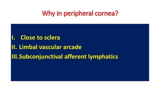 I. Close to sclera
II. Limbal vascular arcade
III.Subconjunctival afferent lymphatics
Why in peripheral cornea?
 