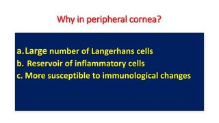 a.Large number of Langerhans cells
b. Reservoir of inflammatory cells
c. More susceptible to immunological changes
Why in peripheral cornea?
 