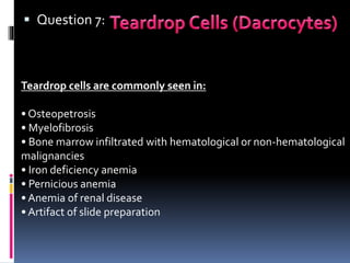  Question 7:
Teardrop cells are commonly seen in:
• Osteopetrosis
• Myelofibrosis
• Bone marrow infiltrated with hematological or non-hematological
malignancies
• Iron deficiency anemia
• Pernicious anemia
• Anemia of renal disease
• Artifact of slide preparation
 