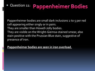  Question 11:
Pappenheimer bodies are small dark inclusions 2 to 5 per red
cell appearing either singly or in pairs.
They are smaller than Howell-Jolly bodies.
They are visible on the Wright-Giemsa-stained smear, also
stain positive with the Prussian Blue stain, suggestive of
presence of iron.
Pappenheimer bodies are seen in iron overload.
 